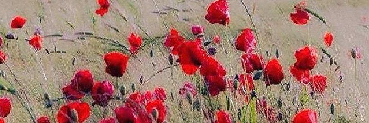 gracia65's profile banner image