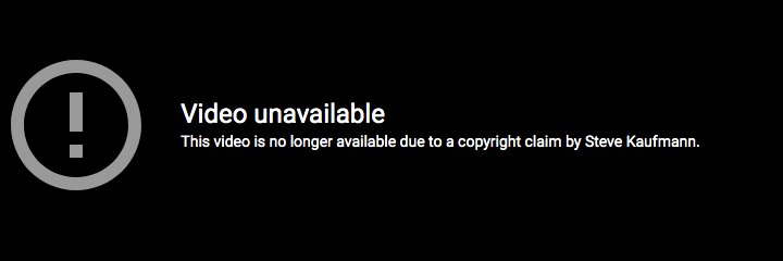 Steve Kaufmann banner