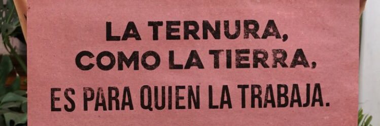 Aleja. banner