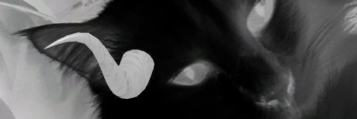 FerRediske's profile banner image