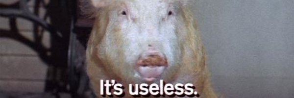 lcbrown91 Profile Banner