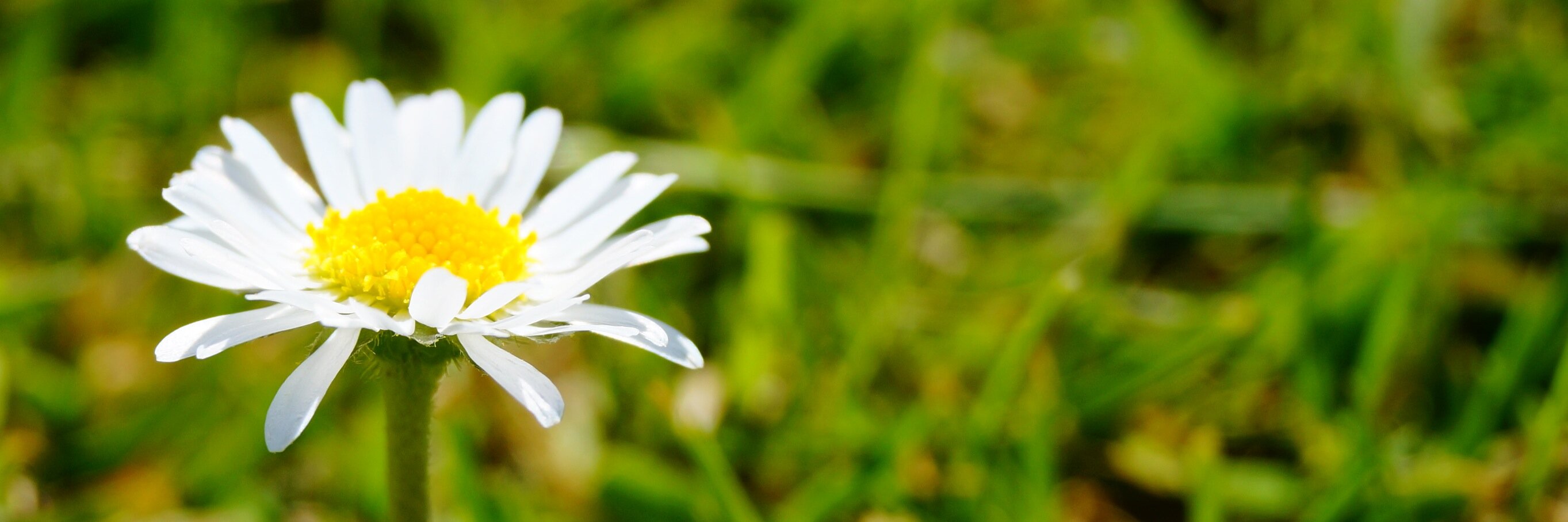 JustCamiB's profile banner image