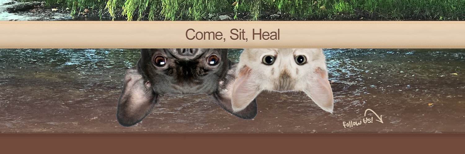 PendletonVet's profile banner image