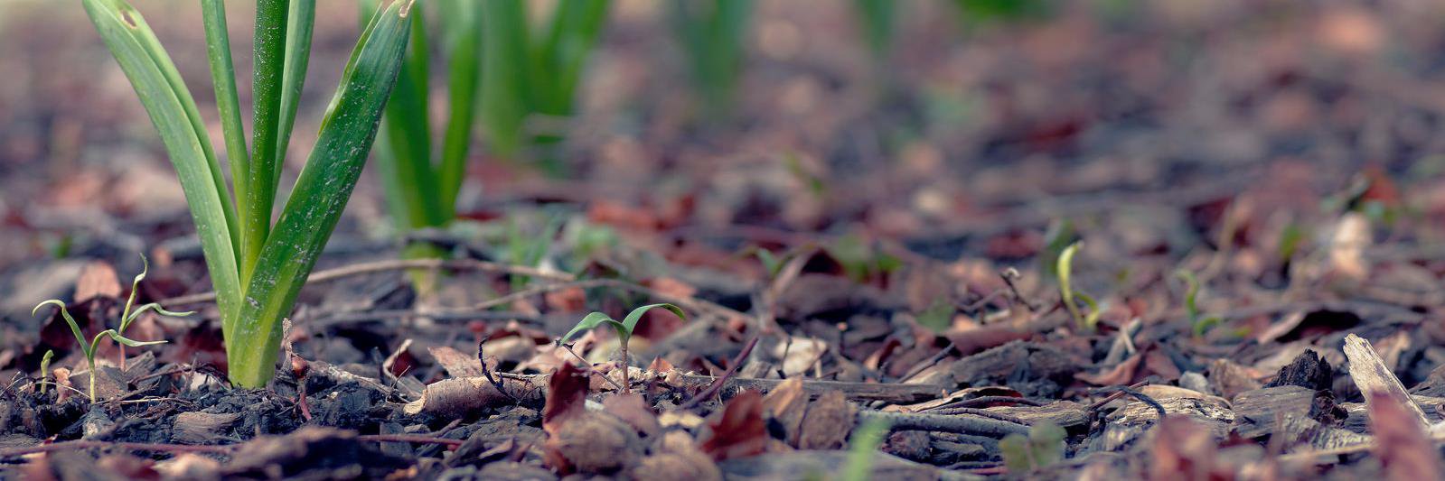 korosion's profile banner image