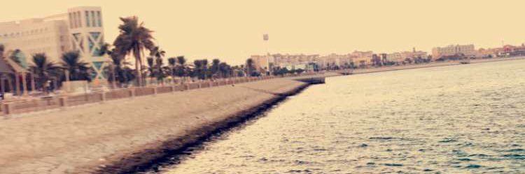 الوايلي banner