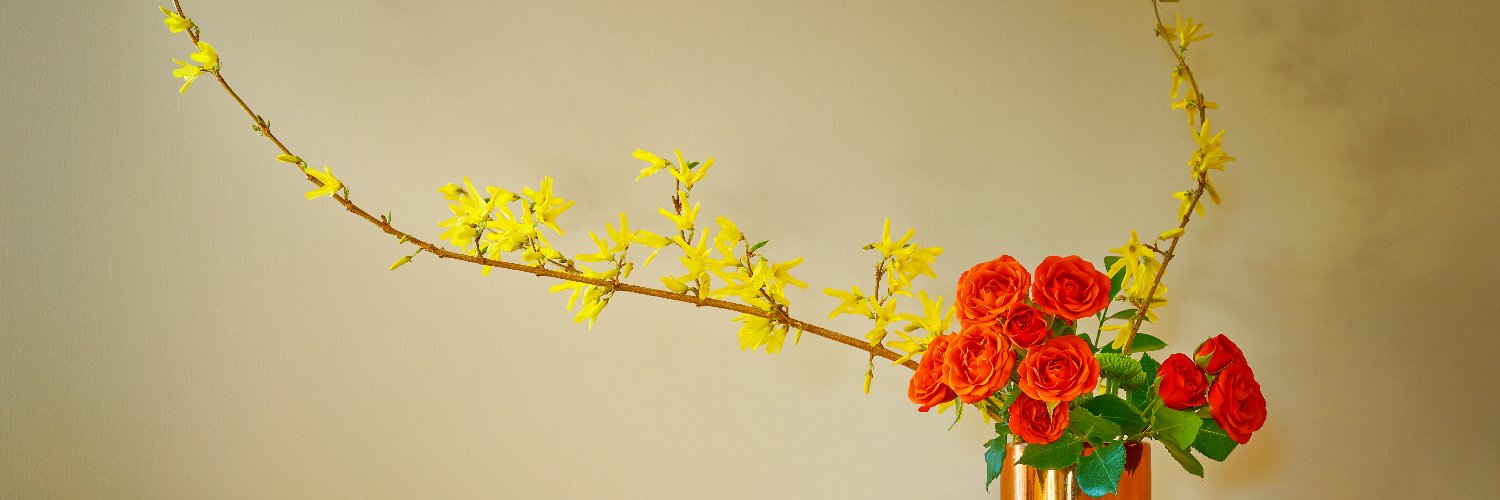 robthacker.bsky.social (he/him) banner