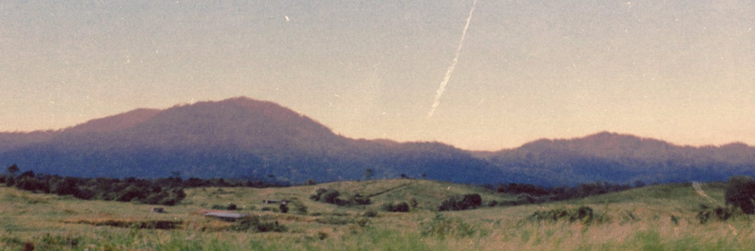 aidasafiah_'s profile banner image