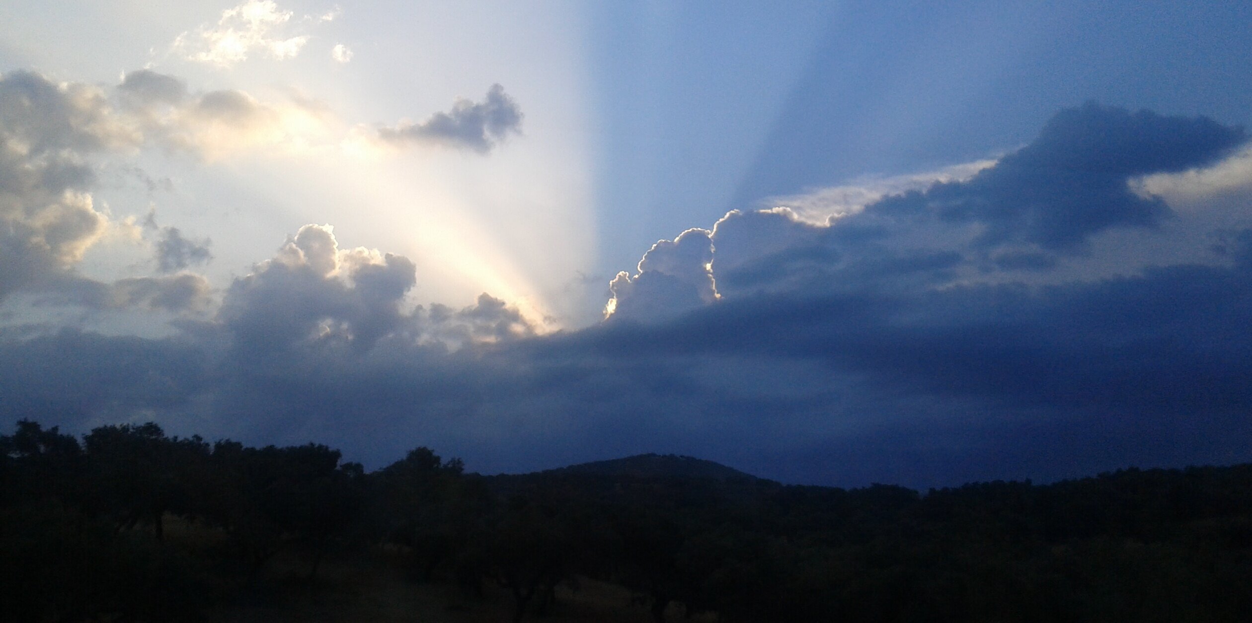 Dani_APoz's profile banner image