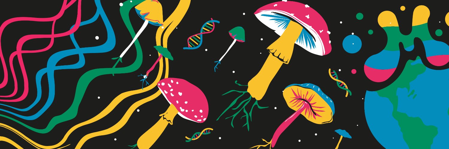 Ricky Cassini banner