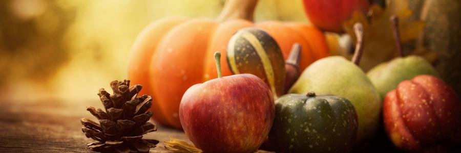 Duluth Fall Festival banner