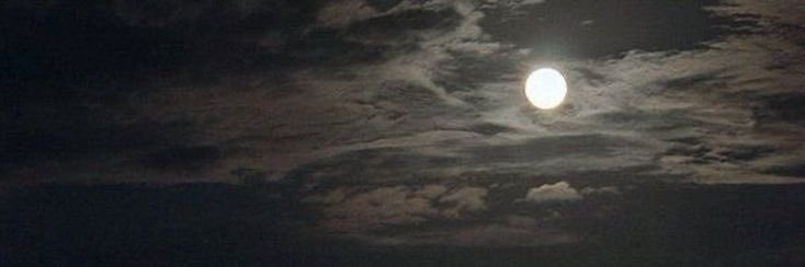 goblins bride ☾ banner