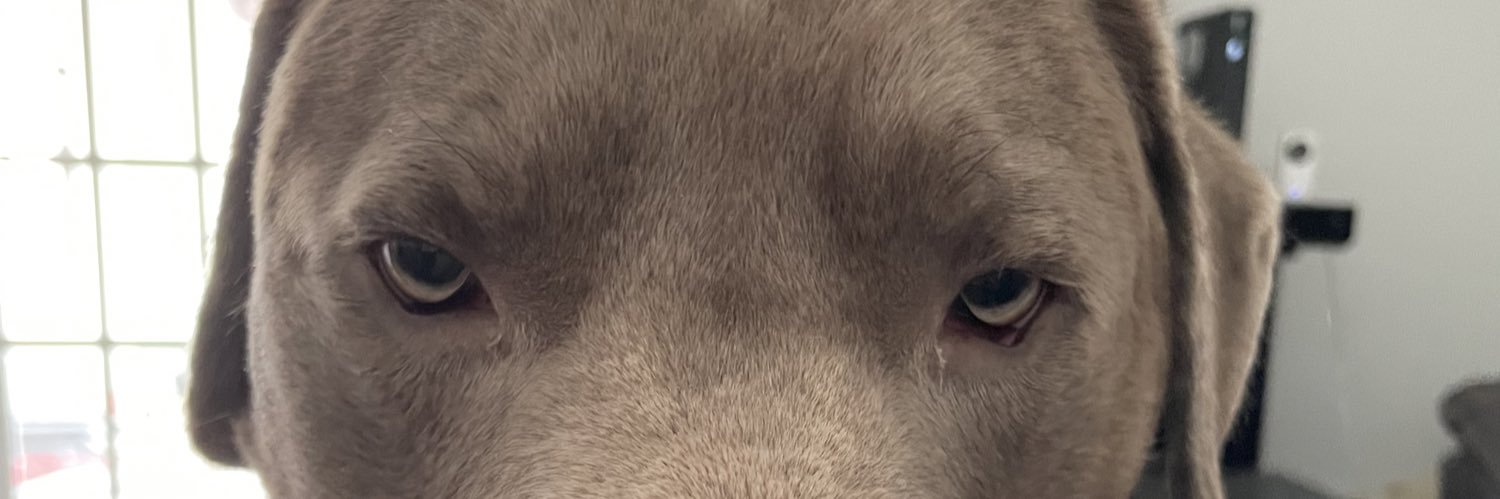TeeRice3's profile banner image