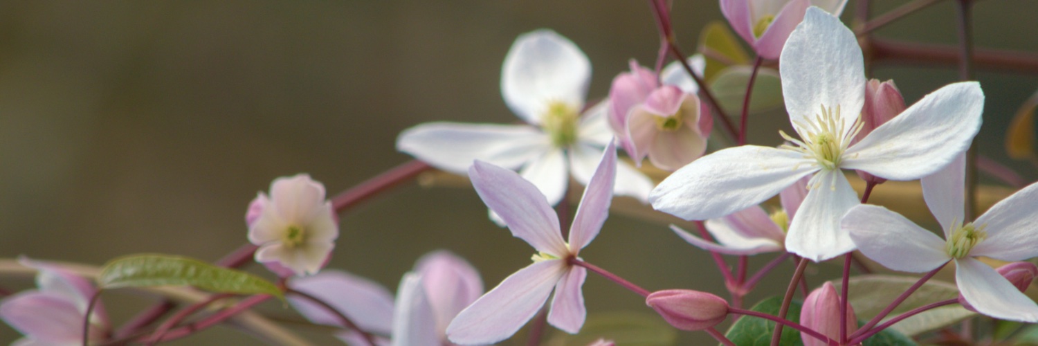 GroupeTRAVERS's profile banner image