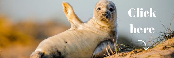 CBulungi Profile Banner