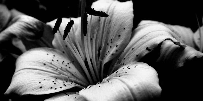 fakhrul__chip's profile banner image