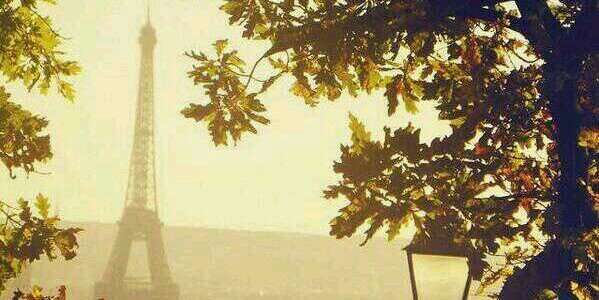 Julia90RR's profile banner image