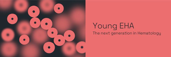 young_eha Profile Banner