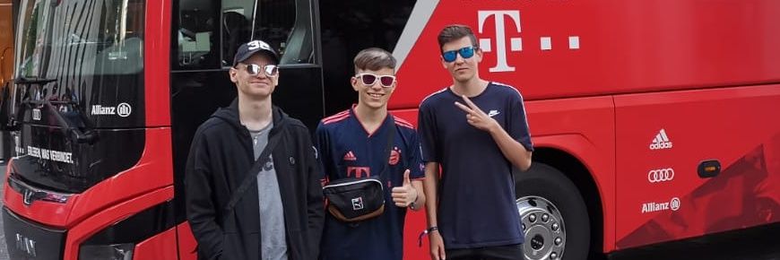 Domi banner