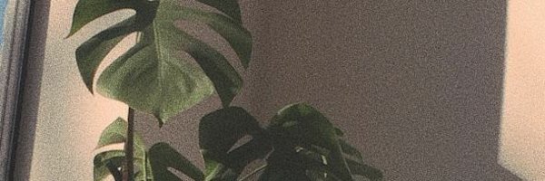 junerubyJunee Profile Banner