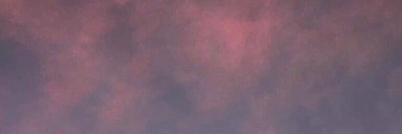 sh5z_'s profile banner image