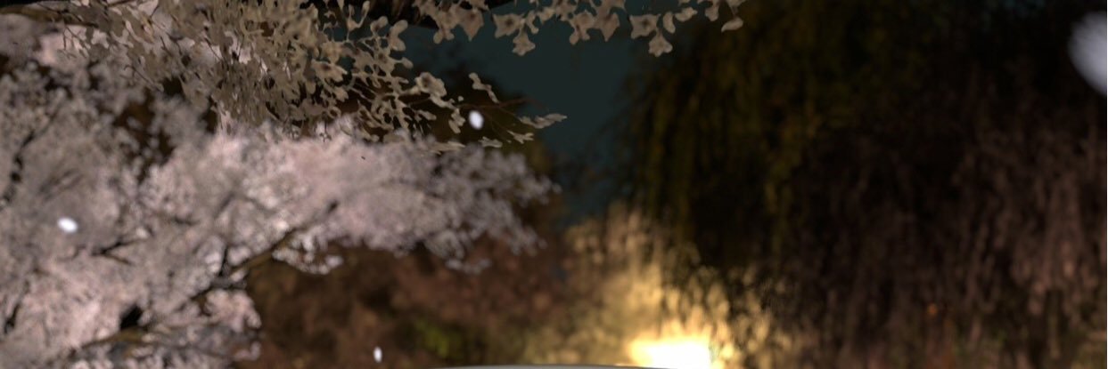 alixdschps's profile banner image