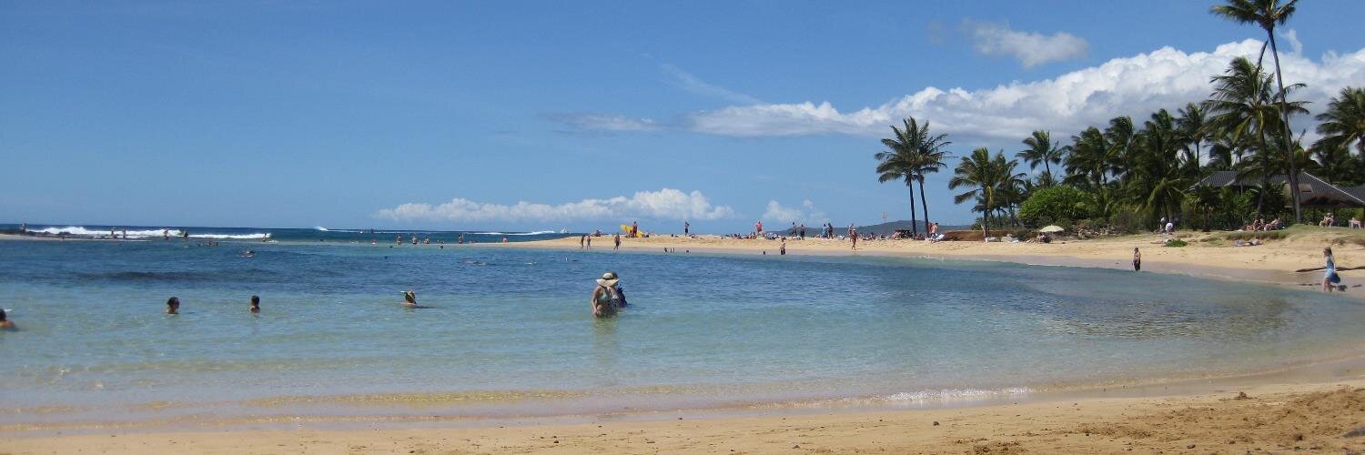 Lynette Moore banner