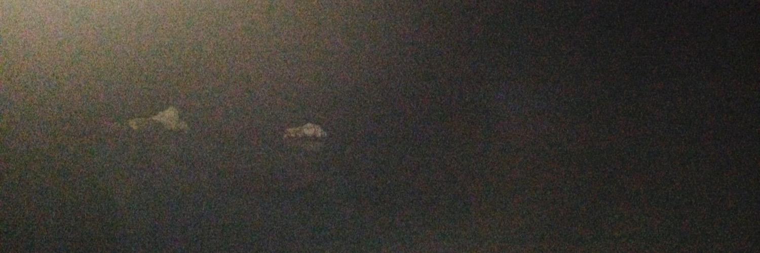 Omalley_'s profile banner image