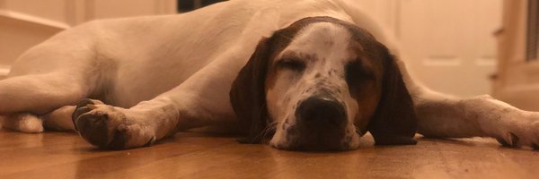 misplacedcomma2 Profile Banner