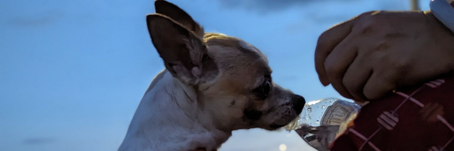 CharSiuFan_Life's profile banner image
