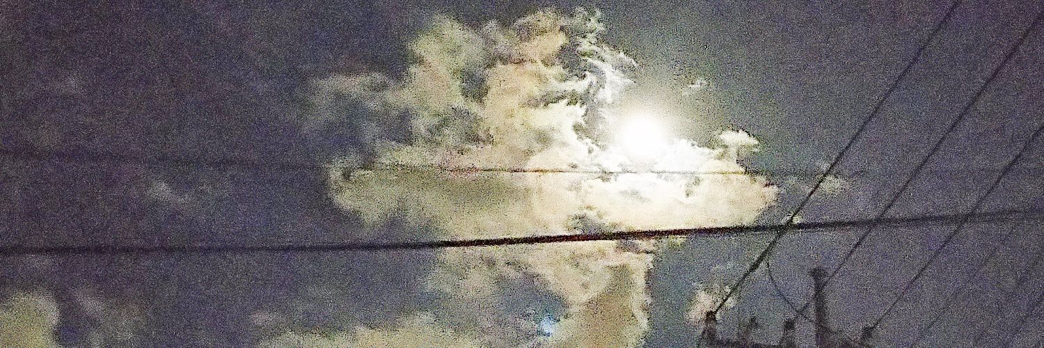 渡邊文武〈PTA〉/ 部室＆果実Label banner