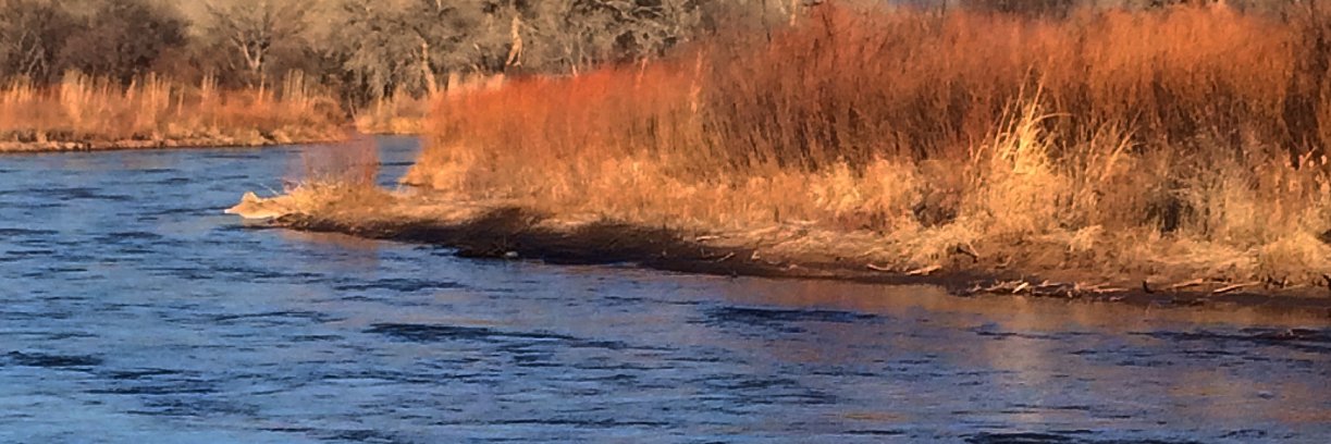 SPJ Rio Grande banner