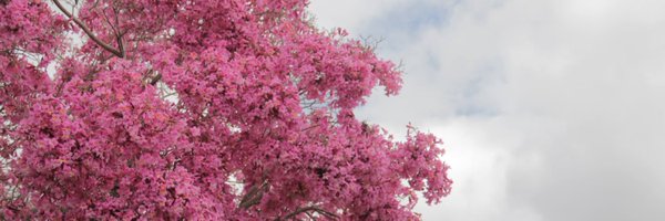 fvzapjustin Profile Banner