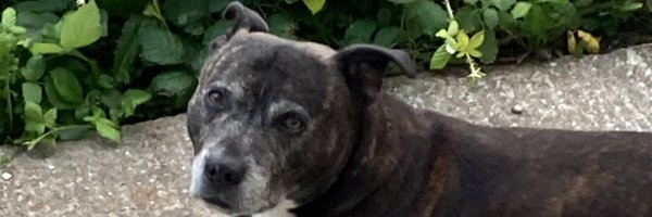 judgeyourself99 Profile Banner
