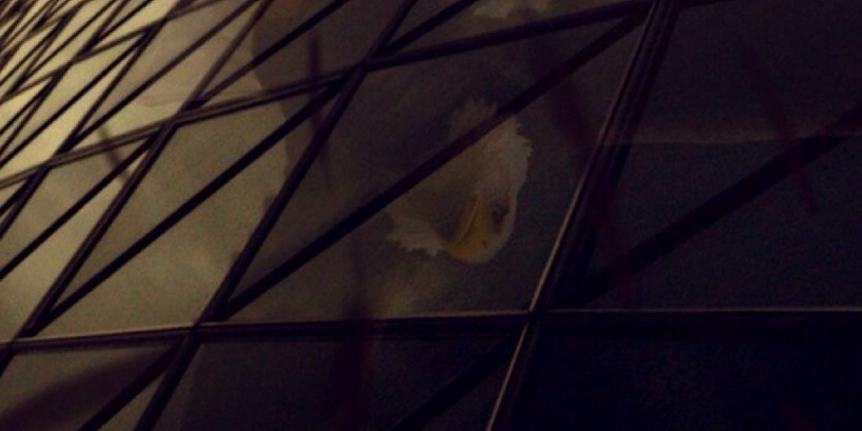 Andrés Remis banner