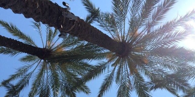 _aguarnieri_'s profile banner image