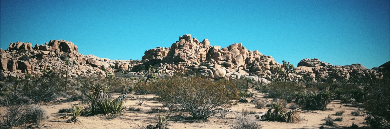 lahariv_'s profile banner image