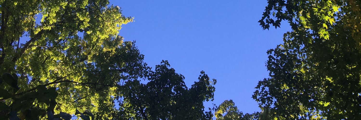 babe_thrasher's profile banner image