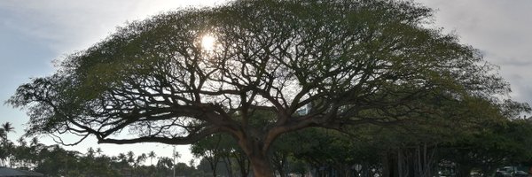 FrnkNlsn Profile Banner