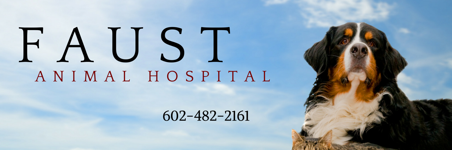 FaustPets's profile banner image