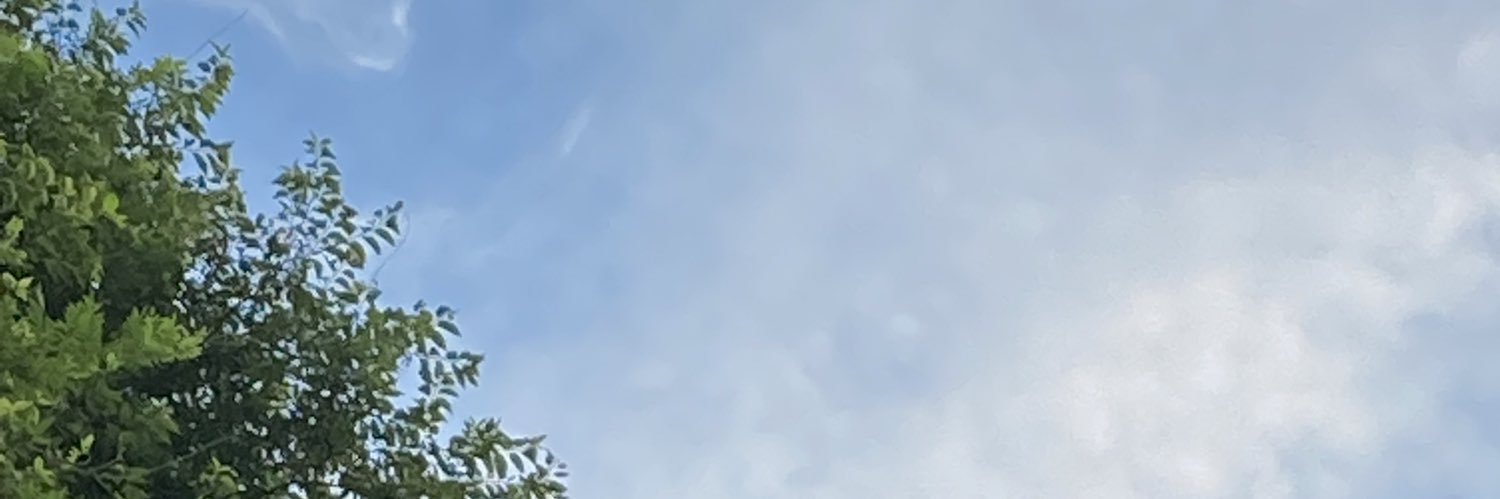copingu's profile banner image