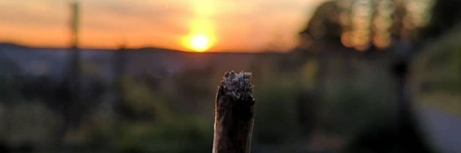 sandybel_l's profile banner image