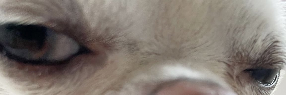 brendmt's profile banner image