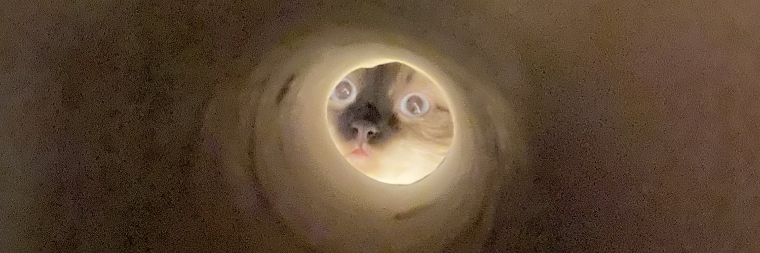 mayak_t's profile banner image