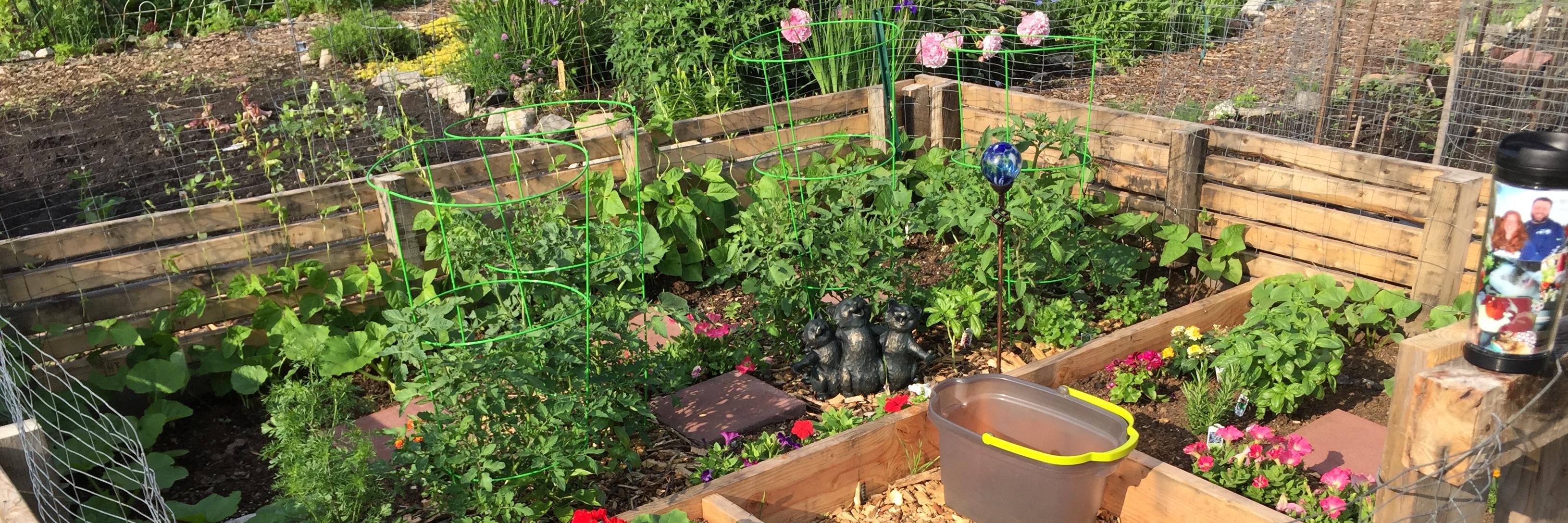 Happy Earth Cleaning Co-op 🌎💕 banner