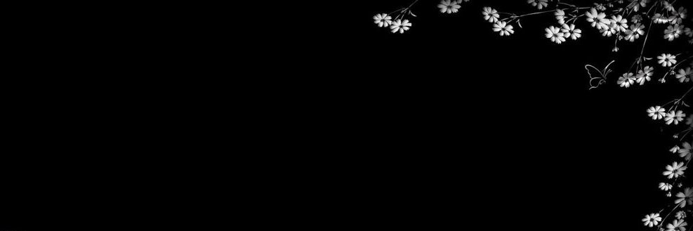 notetogemini's profile banner image