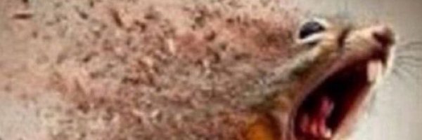 redriverboat2 Profile Banner