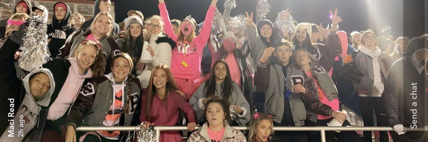 bowiepepsquad's profile banner image