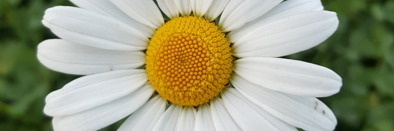 MargritKeller's profile banner image