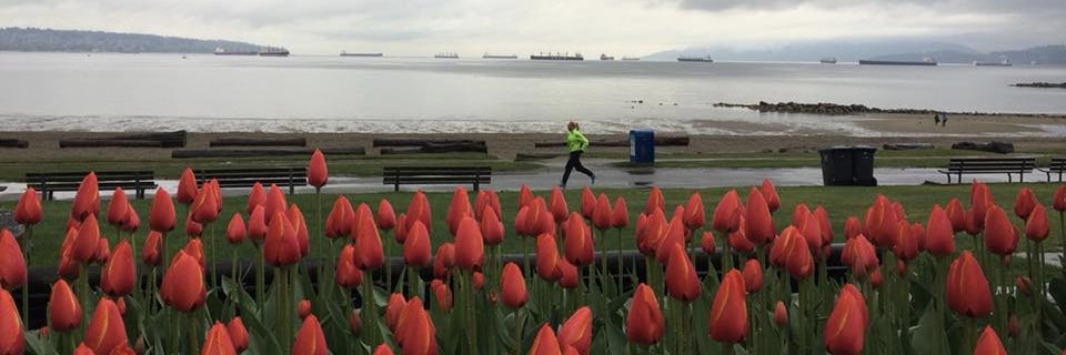 Kaylee Hultgren banner