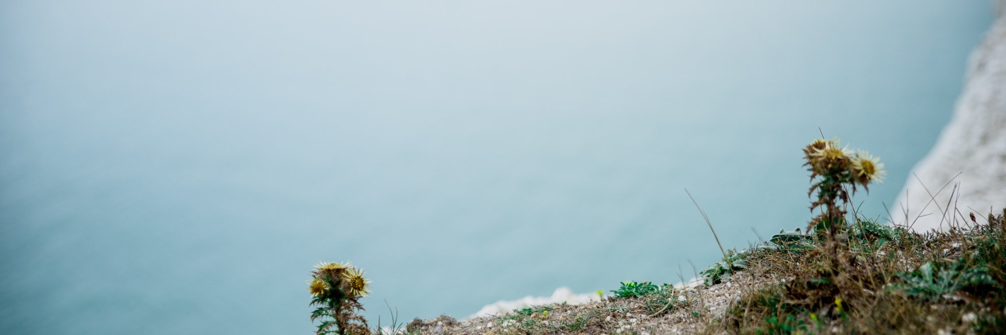 Saltyseablog's profile banner image